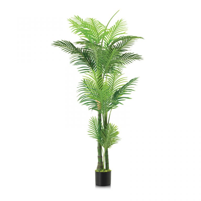 Artificial Palm Trees in Dubai | Real Feel, Indoor Fake Palms UAE